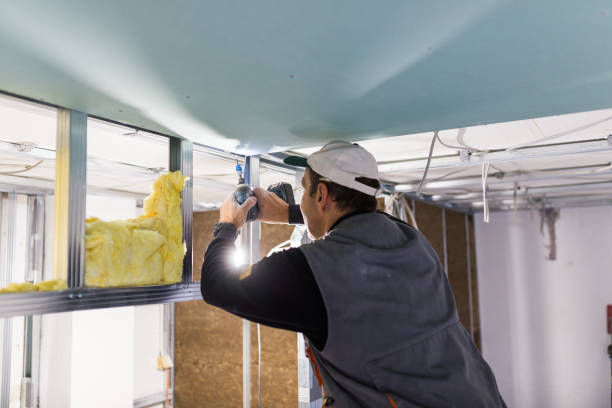 Best Eco-Friendly Insulation in Perkins, OK