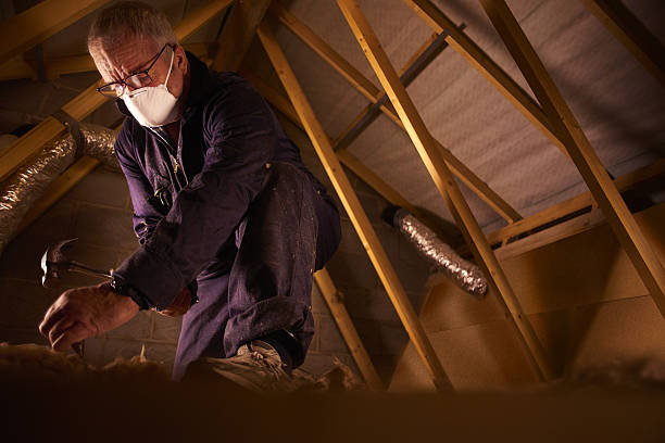 Best Specialized Insulation Services in Perkins, OK